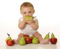 Дневной рацион питания ребенка в 8 месяцев