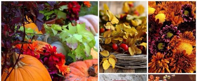 Цветотип осень и его подтипы — подбираем базовый гардероб. Цветотип осень глубокая Звезды советской эстрады цветотипа темная осень