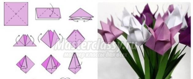 Оригами из бумаги цветы поэтапно. Оригами цветы: легкие схемы для детей