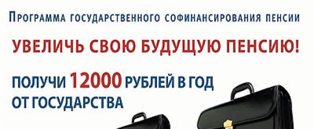 Софинансирование пенсии: государственная программа. Пенсионное обеспечение в России