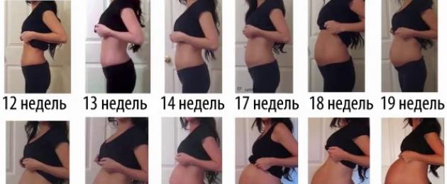 На какой неделе беременности растет животик. Когда начинает расти живот при первой и второй беременности: срок беременности, описание, фото
